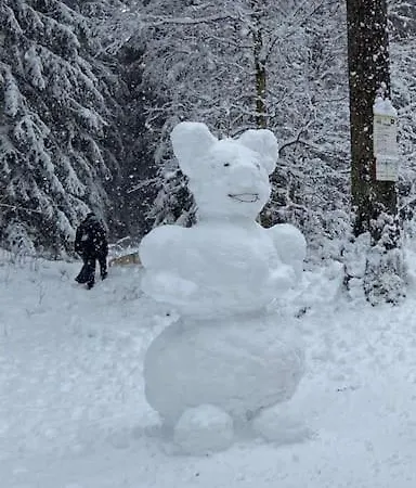 Apartamento Sued - West Harz Mit Sauna E-bikes Vorhanden! Horden am Harz